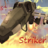 Striker